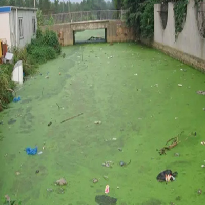 雨污水混流地區黑臭水體綜合治理方案探討